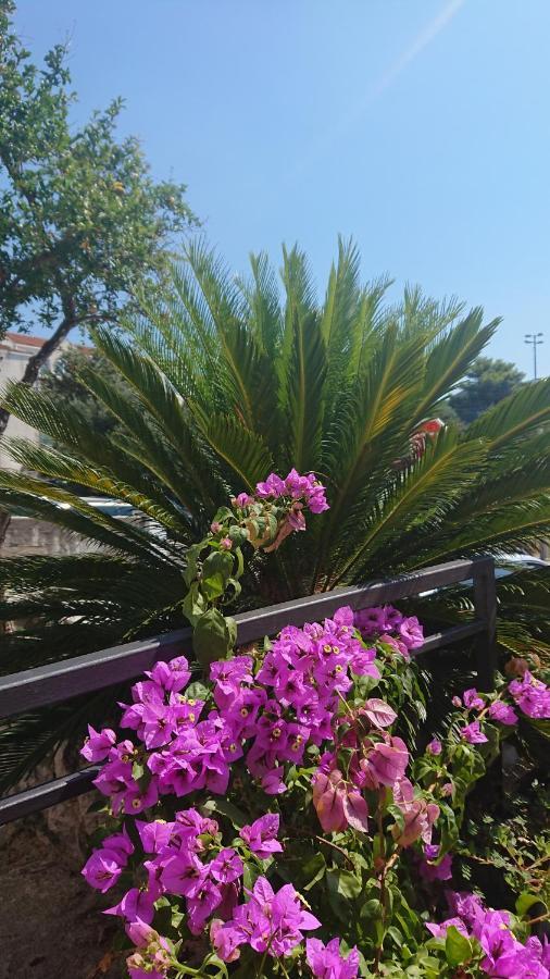 באסקה וודה Apartments Rose מראה חיצוני תמונה